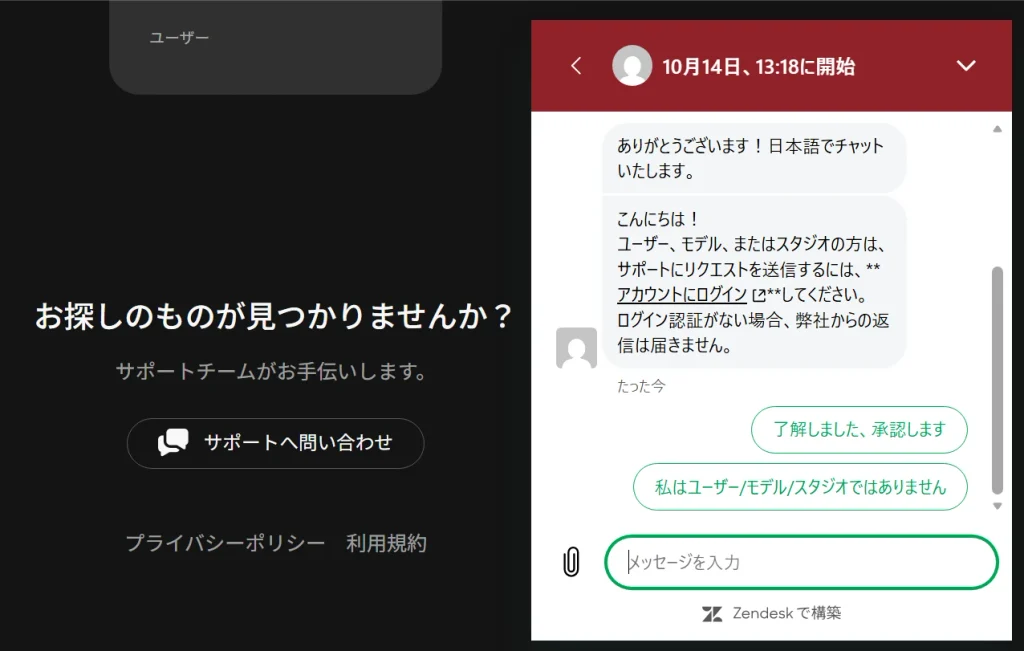 ストリップチャット 日本語の問合せ画面