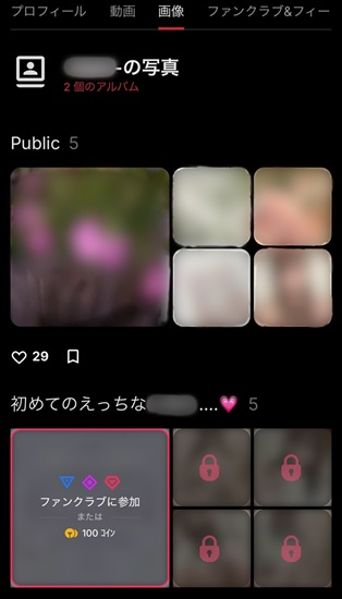 ストリップチャットで0コインのままPublic設定の写真や動画を閲覧する画面