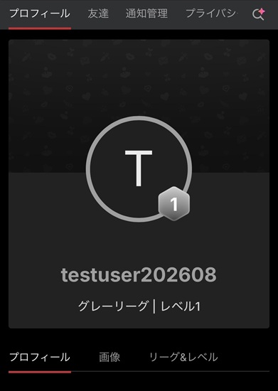 メールアドレス未登録時に一部機能の認証案内が表示されるストリップチャット画面